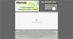 Desktop Screenshot of bigoudi-intl.com